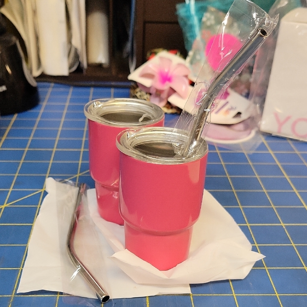 Hot Pink Stainless Steel 3oz Tumblers with Metal Straws New